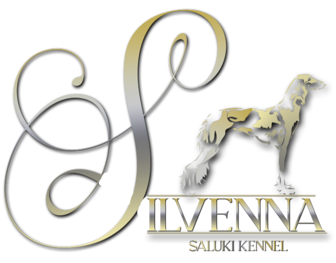 Silvenna Saluki Kennel Logo